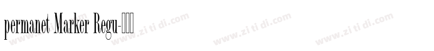 permanet Marker Regu字体转换